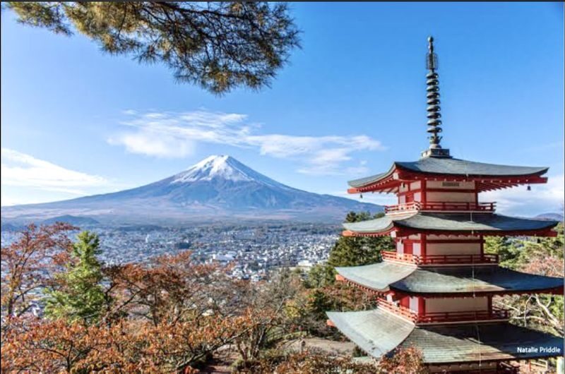 Mount Fuji Customizable One-Day Private Tour - Keep the plan clear and the backup plan simple
