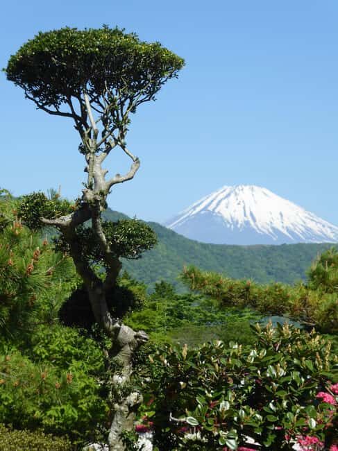 Mount Fuji: Customizable Private Tour By Car With Pickup - Who Should Consider This Tour?