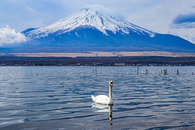 Mount Fuji Customize Private Day Trip with Driver From Tokyo. - Key Points