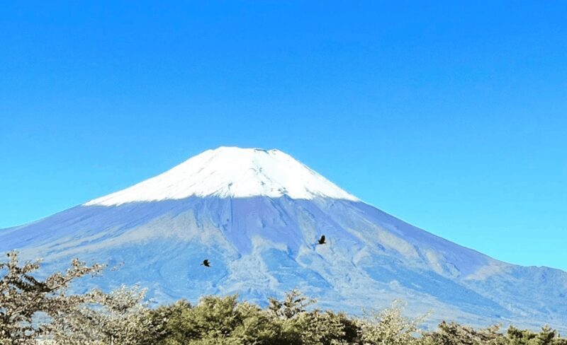 Mount Fuji Customized Tour with English Speaking Guide - Authentic Experiences and Traveler Feedback