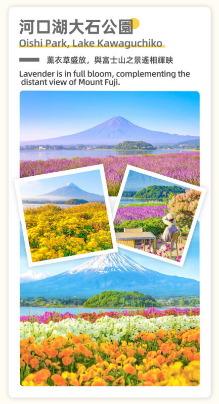 Mount Fuji Cycling Matcha Experience Hot Spring Two-Day Deep Dive Tour: Kawaguchiko & Matcha Experience & Ropeway & Hot Spring & Yamanakako Cycling & Oshino Hakkai & Arakurayama Sengen Park Two-Day Deep Dive Tour - Tenjoyama Park and the return to Tokyo