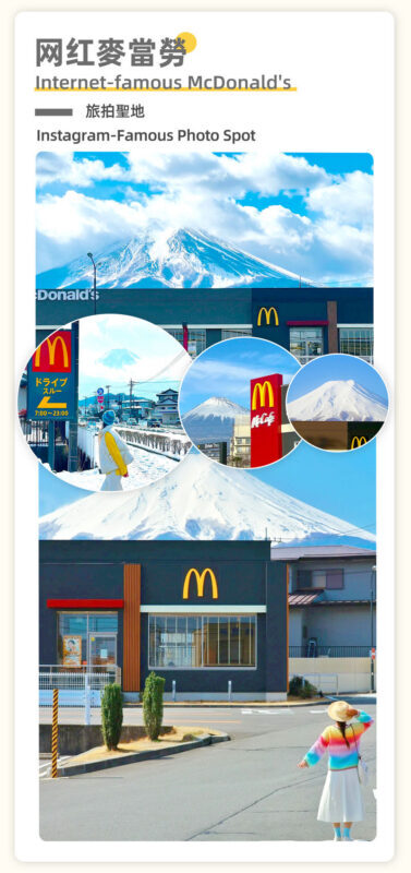 Mount Fuji Cycling Matcha Experience Hot Spring Two-Day Deep Dive Tour: Kawaguchiko & Matcha Experience & Ropeway & Hot Spring & Yamanakako Cycling & Oshino Hakkai & Arakurayama Sengen Park Two-Day Deep Dive Tour - Who should book this Fuji tour?
