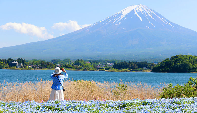 Mount Fuji Day Tour: Arakurayama Sengen Park, Mount Fuji 5th Station, Lake Motosu Shiba Sakura, Oishi Park, Lake Yamanaka Cruise or Optional Hot Spring Experience | Departing from Tokyo - Key points before you book