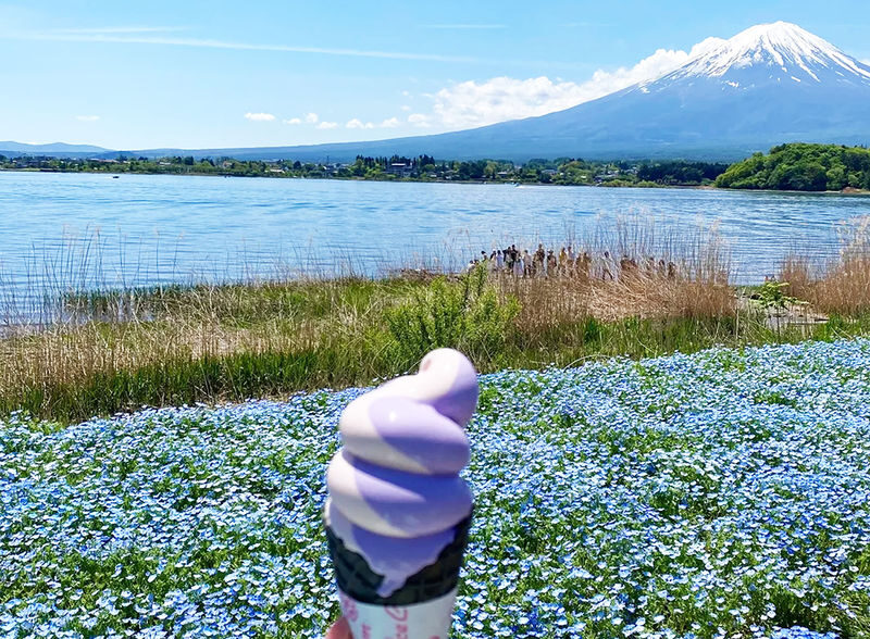 Mount Fuji Day Tour: Arakurayama Sengen Park, Mount Fuji 5th Station, Lake Motosu Shiba Sakura, Oishi Park, Lake Yamanaka Cruise or Optional Hot Spring Experience | Departing from Tokyo - Lake Yamanaka: swan boat or hot spring