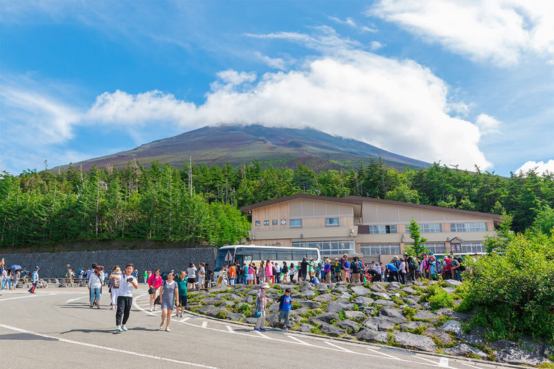 Mount Fuji Day Tour: Arakurayama Sengen Park, Mount Fuji 5th Station, Lake Motosu Shiba Sakura, Oishi Park, Lake Yamanaka Cruise or Optional Hot Spring Experience | Departing from Tokyo - Who should book this Fuji day trip?