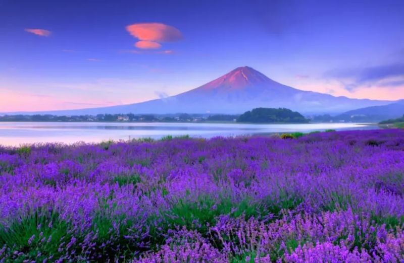 Mount Fuji Day Tour from Tokyo Ginza | Mount Fuji, Lake Kawaguchi, Gotemba Outlet, Konohana no Yu Onsen - A full Fuji day without planning every transfer