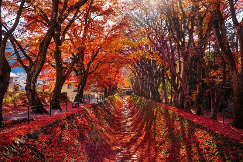 Mount Fuji Day Tour from Tokyo Ginza | Mount Fuji, Lake Kawaguchi, Gotemba Outlet, Konohana no Yu Onsen - What the onsen option adds