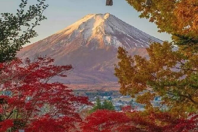 Mount Fuji Day Tour:Scenic Lakes,Village, Pagoda,Oshino Hakkai - Key Points
