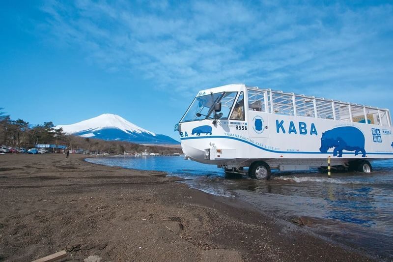 Mount Fuji Day Trip | Departure from Tokyo: Double Lake Scenery, Classic Attractions, Fireworks Limited Edition | Multiple Options Available, Small Group Exquisite Itinerary - Lake Yamanaka: the first look at Fuji