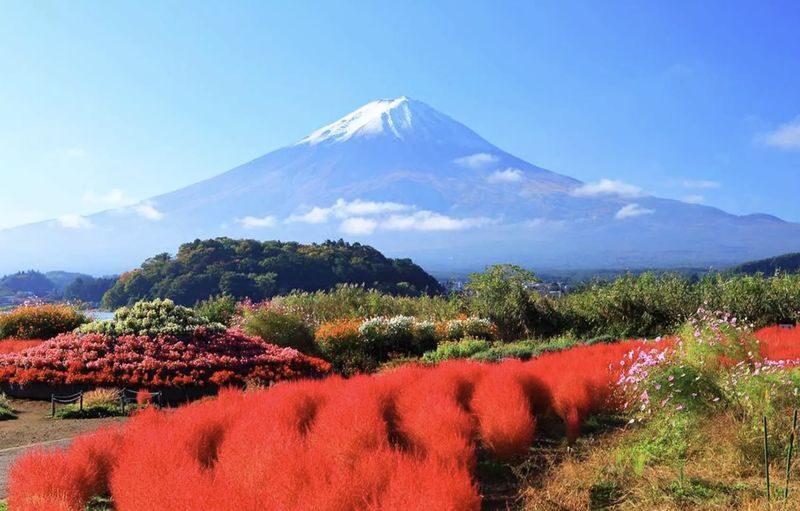 Mount Fuji Day Trip | Departure from Tokyo: Double Lake Scenery, Classic Attractions, Fireworks Limited Edition | Multiple Options Available, Small Group Exquisite Itinerary - Hikawa Clock Shop and other route variations