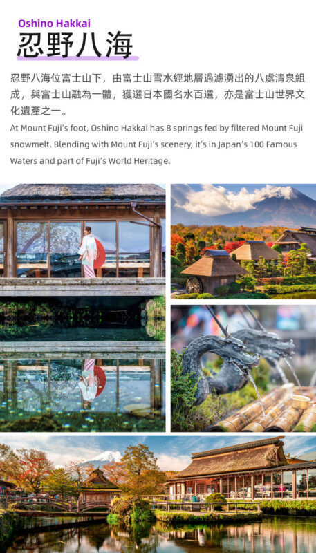 Mount Fuji day trip from Japan | Mount Fuji & Kawaguchi Lake & Gotemba Outlet & Internet-famous convenience store | Departing from Tokyo Ginza | Trilingual guide in Chinese/English/Korean - Lawson: a fast photo stop