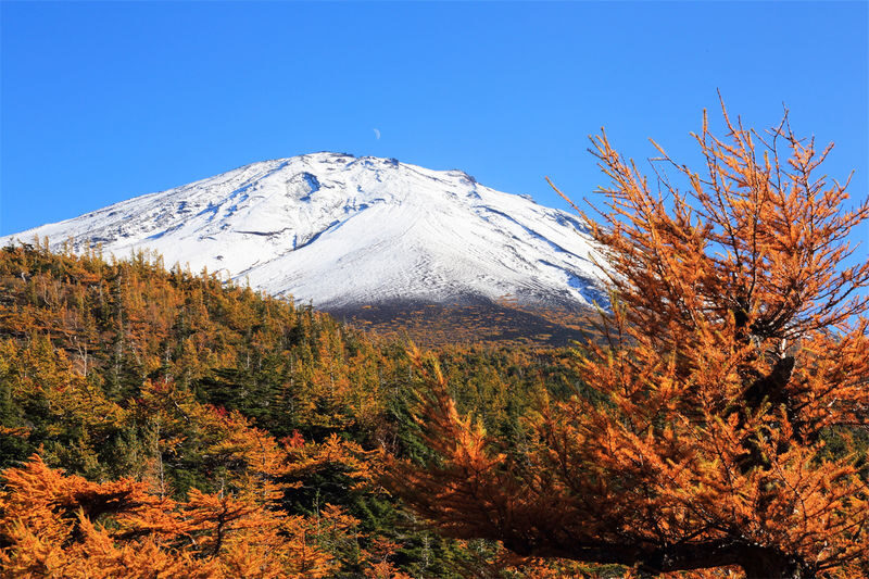 Mount Fuji Day Trip from Tokyo - Lunch, then a choice between shopping and soaking