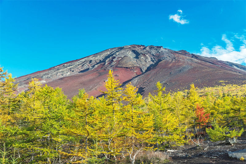 Mount Fuji Day Trip from Tokyo - What the guide adds, and what the tour does not promise