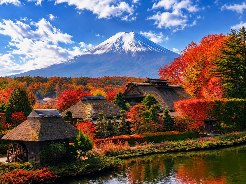 Mount Fuji Day Trip from Tokyo Daily Departure: Chureito Pagoda, Kawaguchiko Oishi Park, Oshino Hakkai, Lawson Convenience Store - The day at a glance