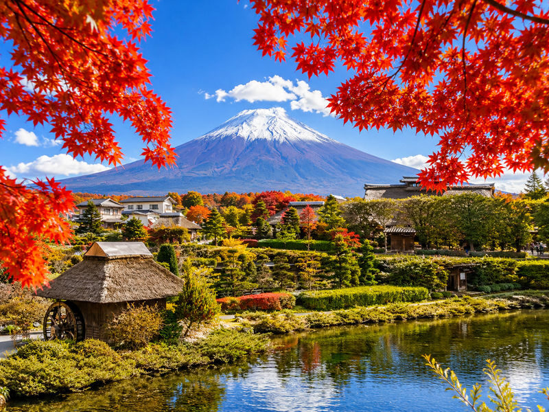 Mount Fuji Day Trip from Tokyo Daily Departure: Chureito Pagoda, Kawaguchiko Oishi Park, Oshino Hakkai, Lawson Convenience Store - Chureito Pagoda and the famous Fuji view