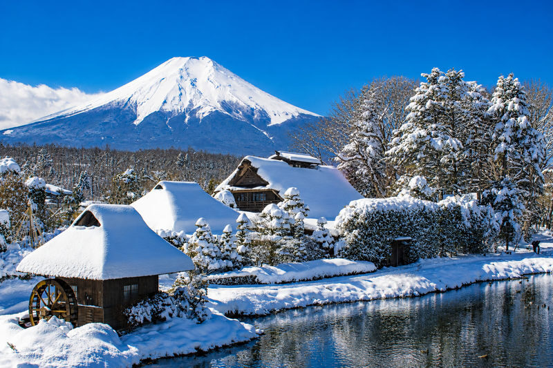 Mount Fuji Day Trip from Tokyo Daily Departure: Chureito Pagoda, Kawaguchiko Oishi Park, Oshino Hakkai, Lawson Convenience Store - Should you book this Mount Fuji day trip?