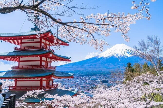 Mount Fuji Day Trip from Tokyo with Scenic Views - Key Points