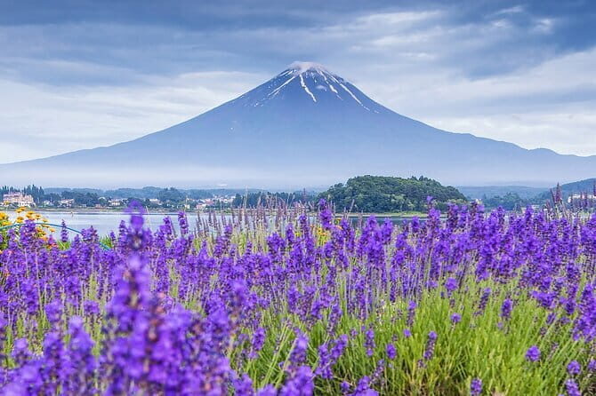 Mount Fuji Day Trip from Tokyo with Scenic Views - A Deep Dive into the Mount Fuji Day Trip