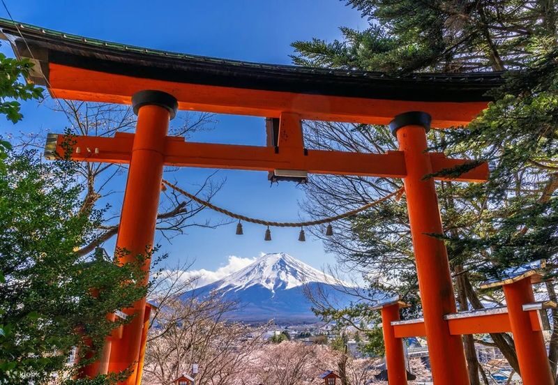 Mount Fuji Day Trip: Includes Kawaguchiko Tenjozan Park Ropeway Ticket & Arakurayama Sengen Park & Nichikawa Clock Shop & Lawson Convenience Store & Oishi Park (Departing from Tokyo) - Oishi Park and the changing lakeside seasons