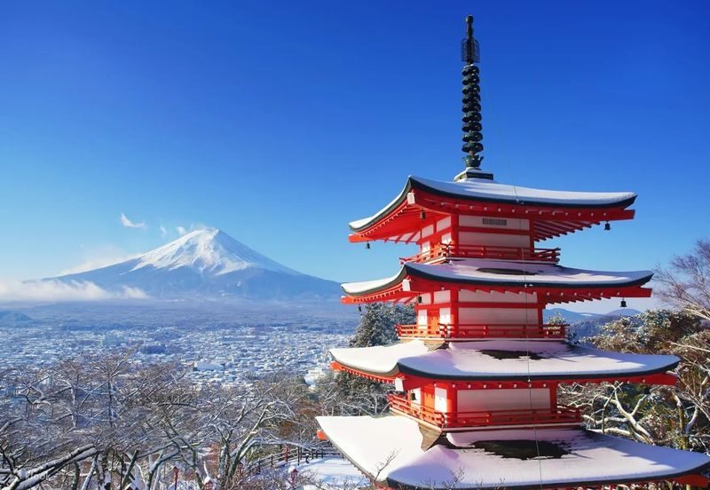 Mount Fuji Day Trip: Includes Kawaguchiko Tenjozan Park Ropeway Ticket & Arakurayama Sengen Park & Nichikawa Clock Shop & Lawson Convenience Store & Oishi Park (Departing from Tokyo) - The guide can make a fixed itinerary feel easier