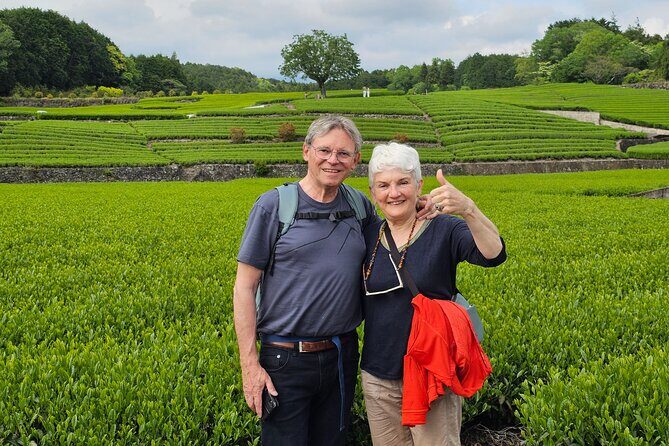 Mount Fuji E-Bike Tour: Explore Nature and History - A Detailed Look at the Mount Fuji E-Bike Tour