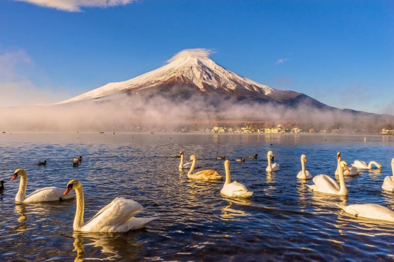 Mount Fuji: Exclusive Private Car Tour - Key Points
