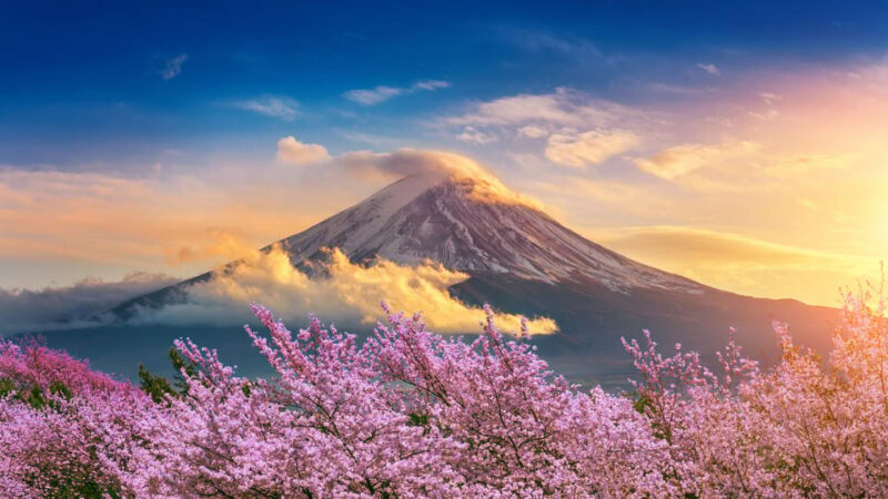 Mount Fuji: Exclusive Private Car Tour - Who Would Love This Tour?