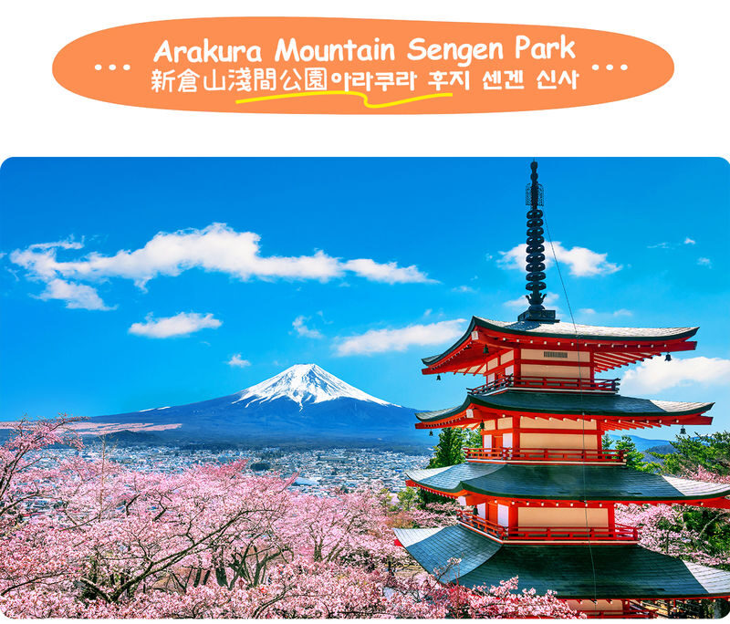 Mount Fuji Exploration Tour | Arakurayama Sengen Park, Hikawa Clock Shop, Oshino Hakkai, Lake Kawaguchi Oishi Park, and Saiko Iyashi no Sato Nenba Day Trip - What the Tour’s Price Includes, and What It Does Not