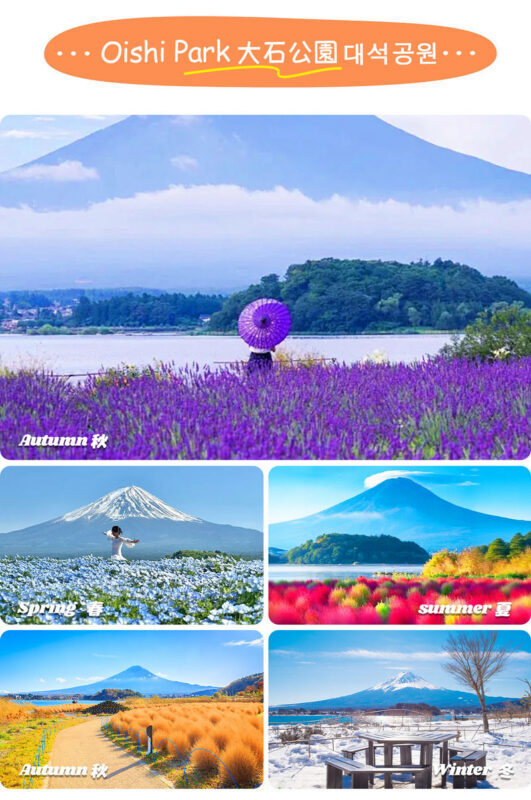 Mount Fuji Exploration Tour | Arakurayama Sengen Park, Hikawa Clock Shop, Oshino Hakkai, Lake Kawaguchi Oishi Park, and Saiko Iyashi no Sato Nenba Day Trip - Weather, Crowds and the Best Season to Go