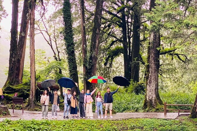 Mount Fuji Flower Viewing Limited Gotemba Outlet Tour - Starting Point and Logistics