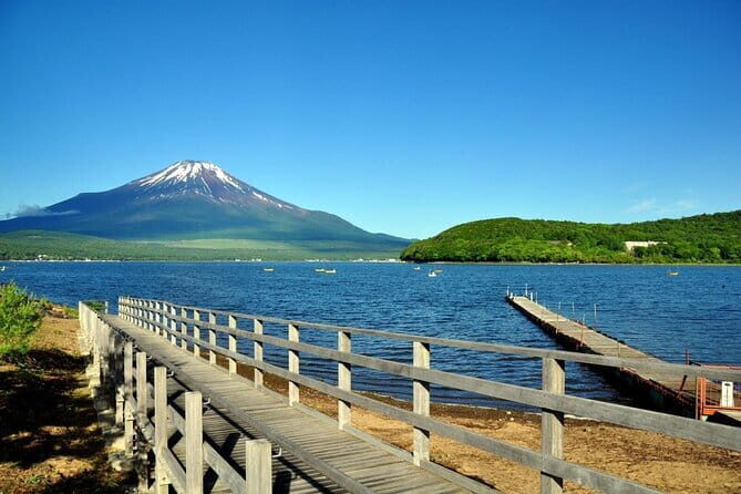 Mount Fuji Flower Viewing Limited Gotemba Outlet Tour - Second Stop: Arakurayama Sengen Park