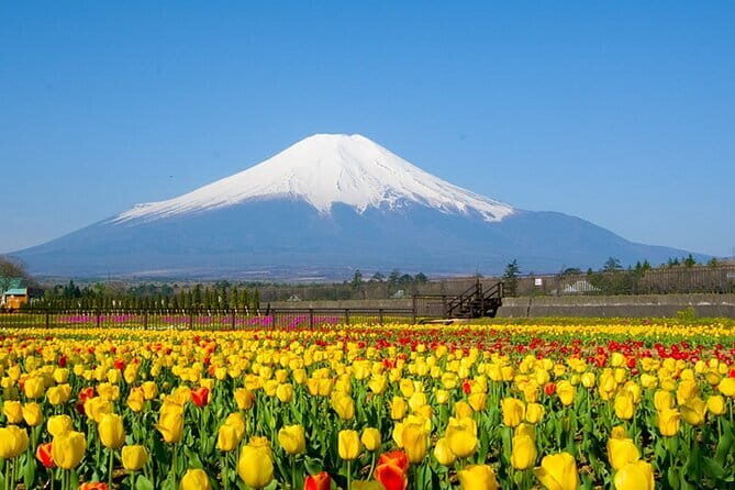 Mount Fuji Flower Viewing Limited Gotemba Outlet Tour - Final Thoughts: Is This Tour Worth It?