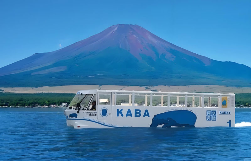 Mount Fuji from Land and Water | Yamanakako KABA Amphibious Bus / Swan Boat Cruise Optional + Hirano Beach + Oshino Hakkai + Lake Kawaguchi Oishi Park | Family Preferred & Departure from Tokyo - The Fuji reflection at Hirano Beach