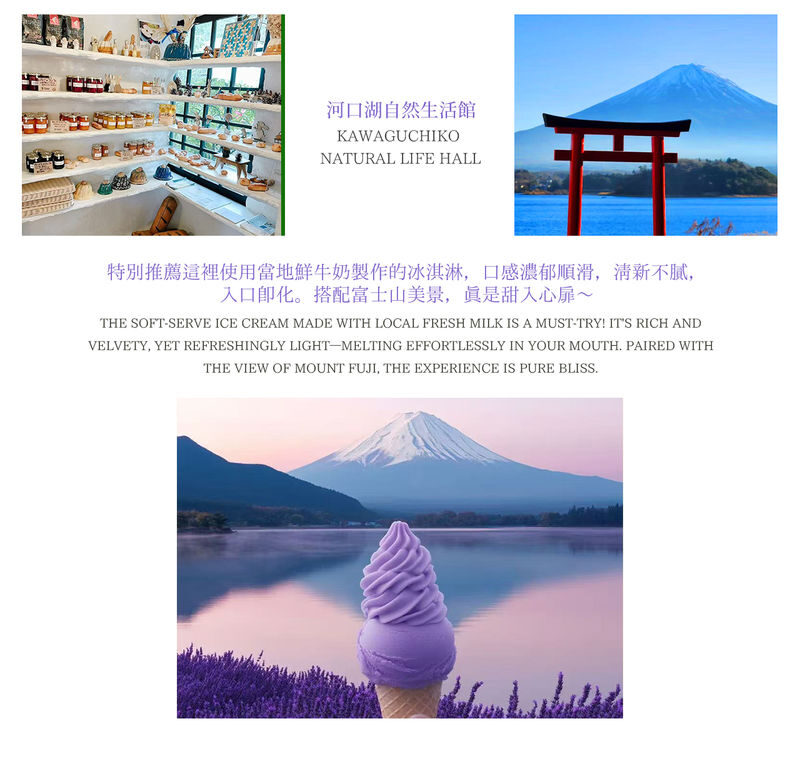 Mount Fuji from Land and Water | Yamanakako KABA Amphibious Bus / Swan Boat Cruise Optional + Hirano Beach + Oshino Hakkai + Lake Kawaguchi Oishi Park | Family Preferred & Departure from Tokyo - Who should choose this Fuji day trip