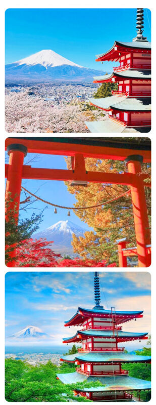 Mount Fuji Fruit Picking & Popular Sightseeing Train Day Trip | Mount Fuji 5th Station/Arakurayama Sengen Park, Sightseeing Train, Oishi Park, Yamanashi Fuji Fruit Park Day Trip (Round Trip from Tokyo) - Fruit picking, with a harvest that changes by month