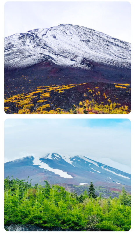 Mount Fuji Fruit Picking & Popular Sightseeing Train Day Trip | Mount Fuji 5th Station/Arakurayama Sengen Park, Sightseeing Train, Oishi Park, Yamanashi Fuji Fruit Park Day Trip (Round Trip from Tokyo) - What the price covers, and what it does not