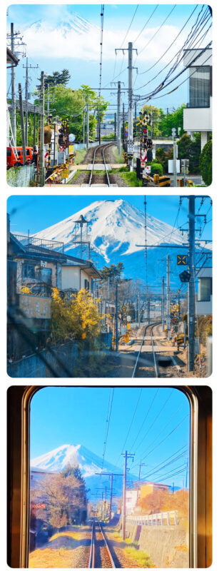Mount Fuji Fruit Picking & Popular Sightseeing Train Day Trip | Mount Fuji 5th Station/Arakurayama Sengen Park, Sightseeing Train, Oishi Park, Yamanashi Fuji Fruit Park Day Trip (Round Trip from Tokyo) - Prepare for stairs, weather, and a moving schedule