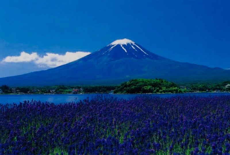 Mount Fuji & Fuji-Q Highland Private Day Trip - A good driver-guide can turn transport into part of the day