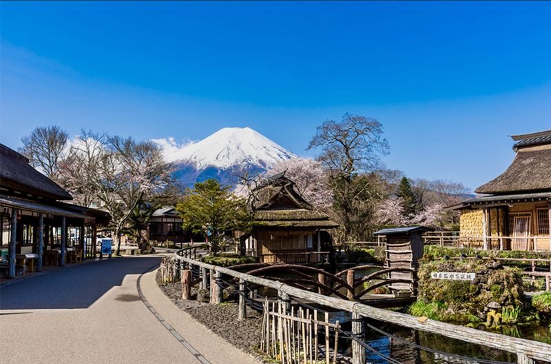 Mount Fuji & Fuji-Q Highland Private Day Trip - Who is likely to enjoy this trip