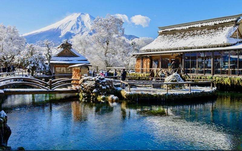 Mount Fuji & Fuji-Q Highland Private Day Trip - Should you book this Mount Fuji day trip?