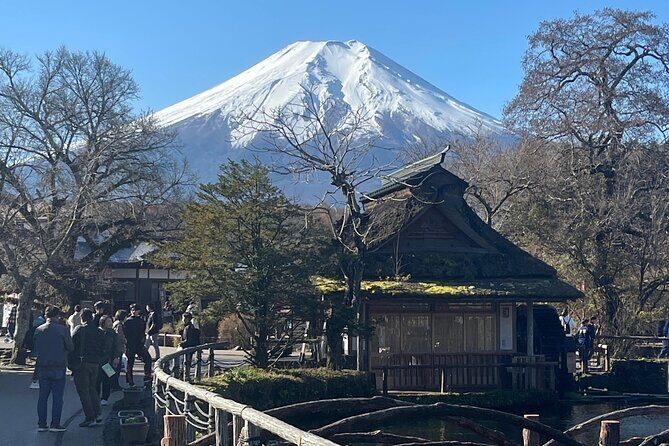 Mount Fuji Full Day Customize Private Tour with English Guide - Who Should Consider This Tour?