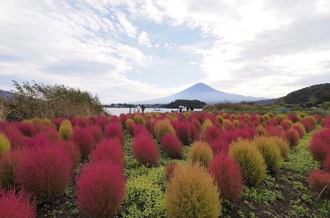 Mount Fuji Full Day Customized Private Tour with English Guide - Final Thoughts