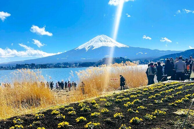Mount Fuji Full Day Private Customizable Tour With English Guide - Key Points