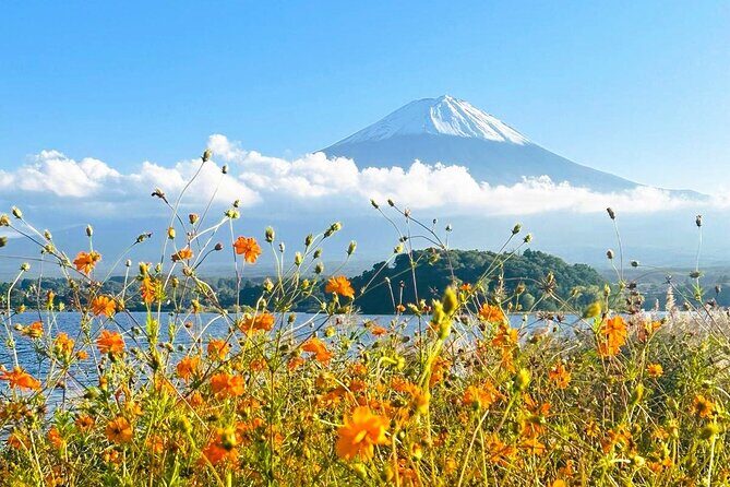 Mount Fuji Full Day Private Customizable Tour With English Guide - Practical Details and What They Mean for You