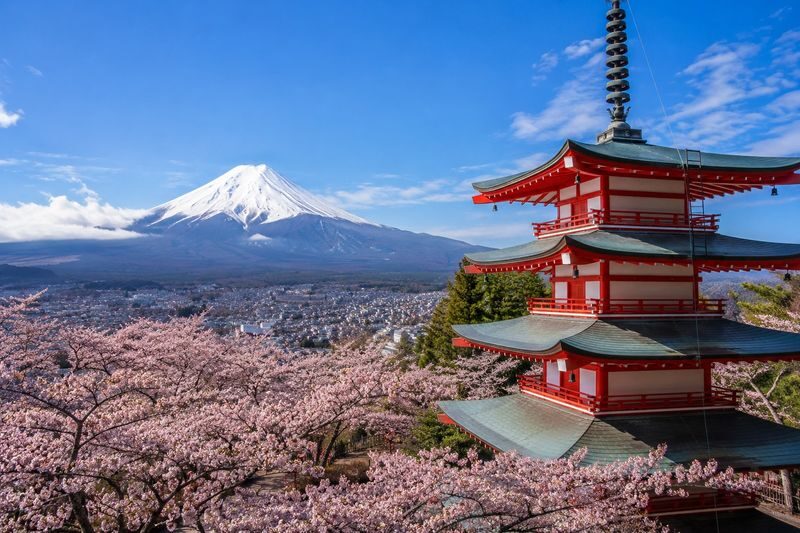 Mount Fuji Full-Day Private Tour - A private day built around Mount Fuji