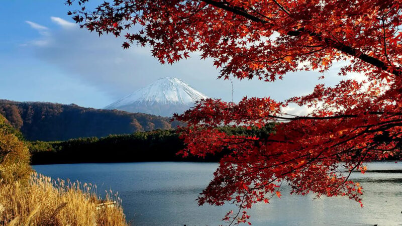 Mount Fuji Full-Day Private Tour from Tokyo (Customizable) - Practical Tips for Making the Most of Your Day