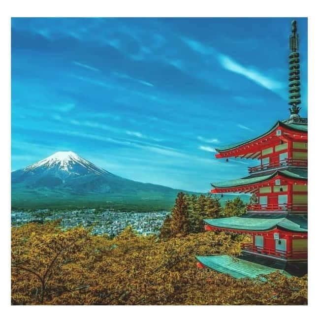 Mount Fuji Full Day Private Tour from Tokyo Full Customized - What Makes This Tour Stand Out?