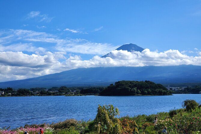 Mount Fuji Full-Day Private Tour from Yokohama Port Customizable - Who Would Love This Tour?