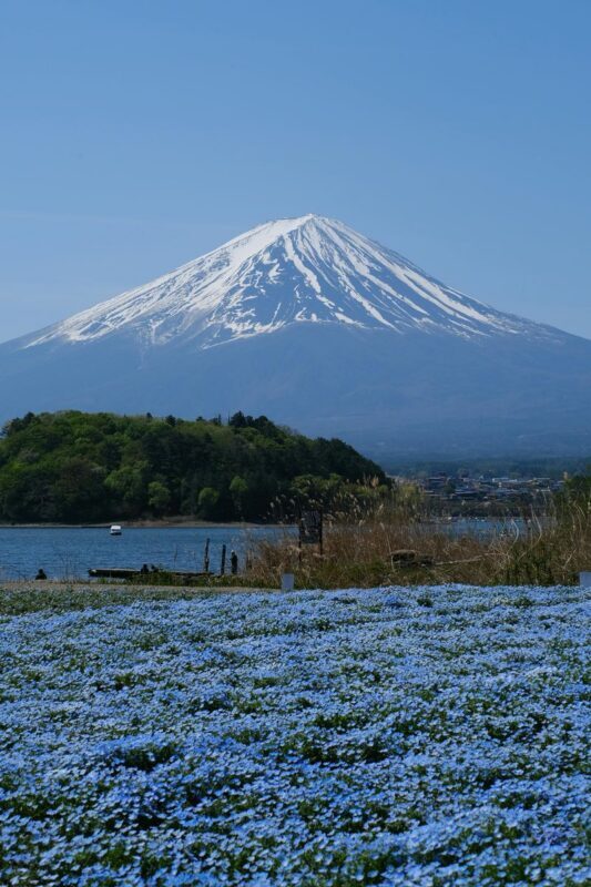Mount Fuji Full-Day Private Tour with Customizable Itinerary - How customization works in practice