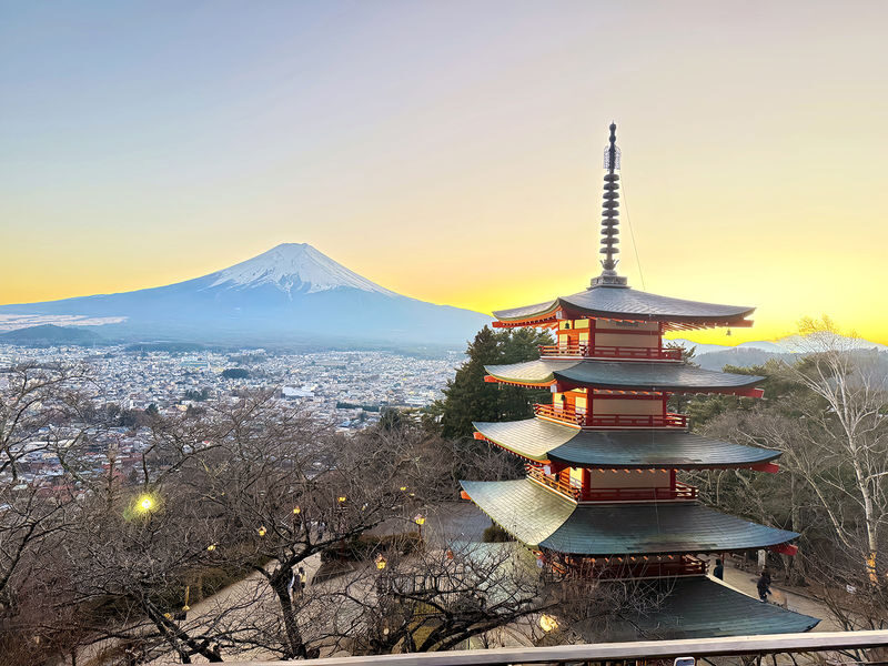 Mount Fuji Full-Day Small Group driver-guide tour (with Pick-up option) - What to know before you go